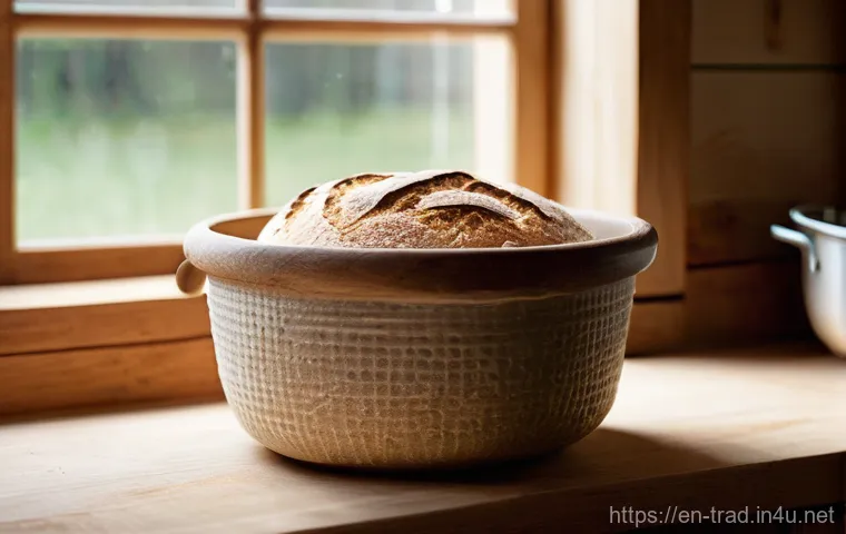 전통식품의 제조 기술 - The Sourdough Artisan's Kitchen**
A cozy, rustic kitchen scene bathed in warm, soft natural light s...